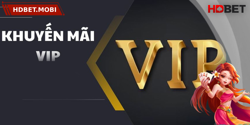 Các thành viên VIP được cung cấp các ưu đãi riêng