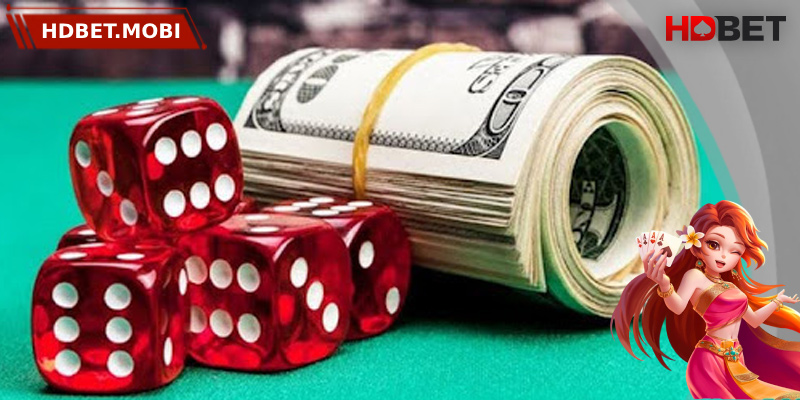 Nhà cái có nhiều khuyến mãi đặc sắc, hấp dẫn hỗ trợ người chơi